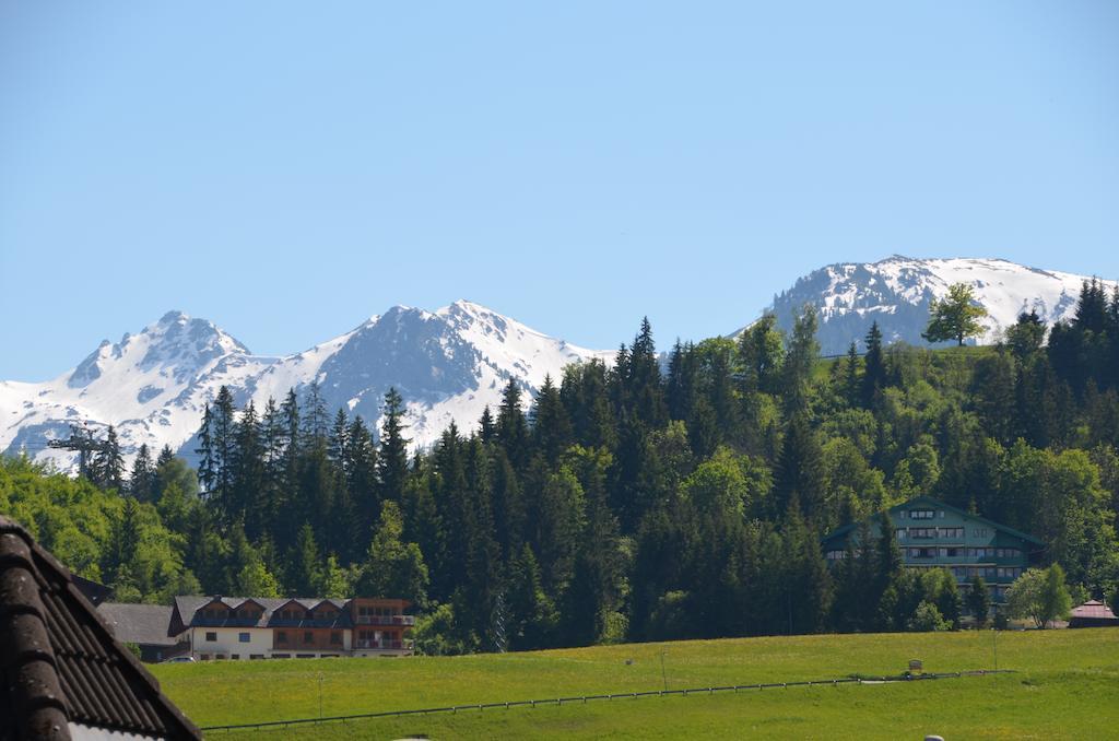 Haus Pitzer/Apartments Troicher Schladming Zimmer foto